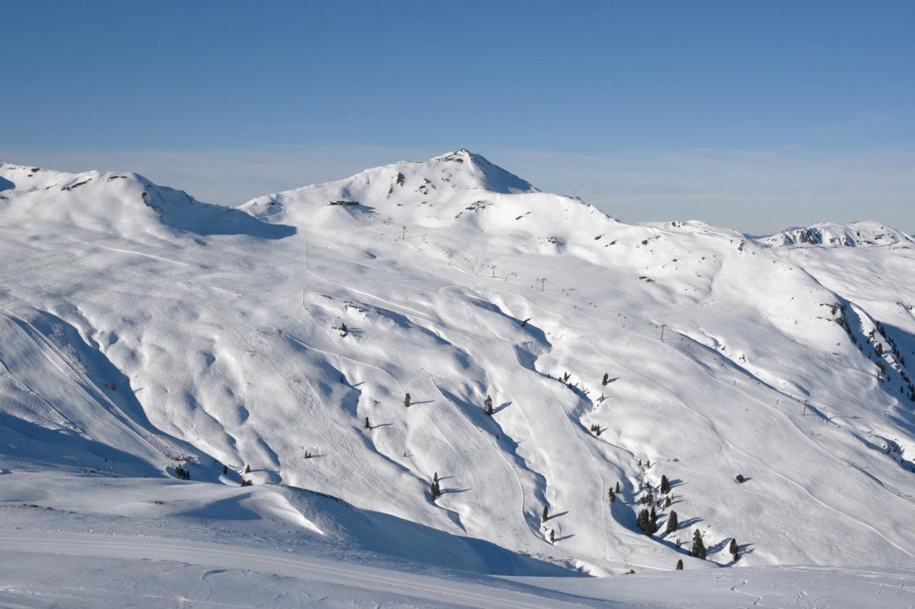 Venediger Lodge Neukirchen am Großvenediger Dış mekan fotoğraf